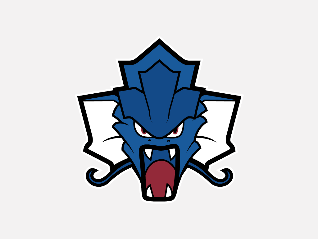 Toronto Gyarados logo iron on heat transfer